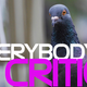 Illustration for article titled Could a pigeon be the next great art critic?